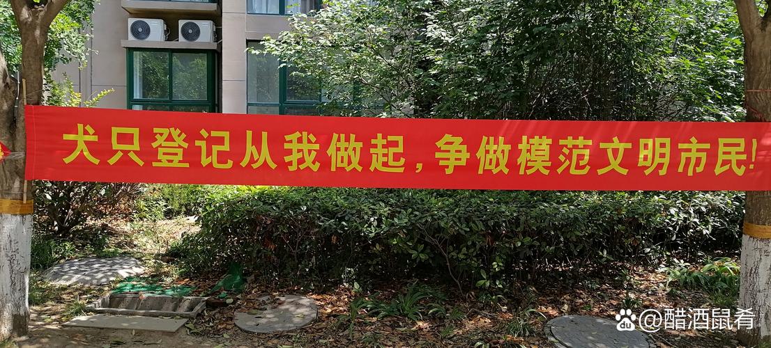 巧修数码维修